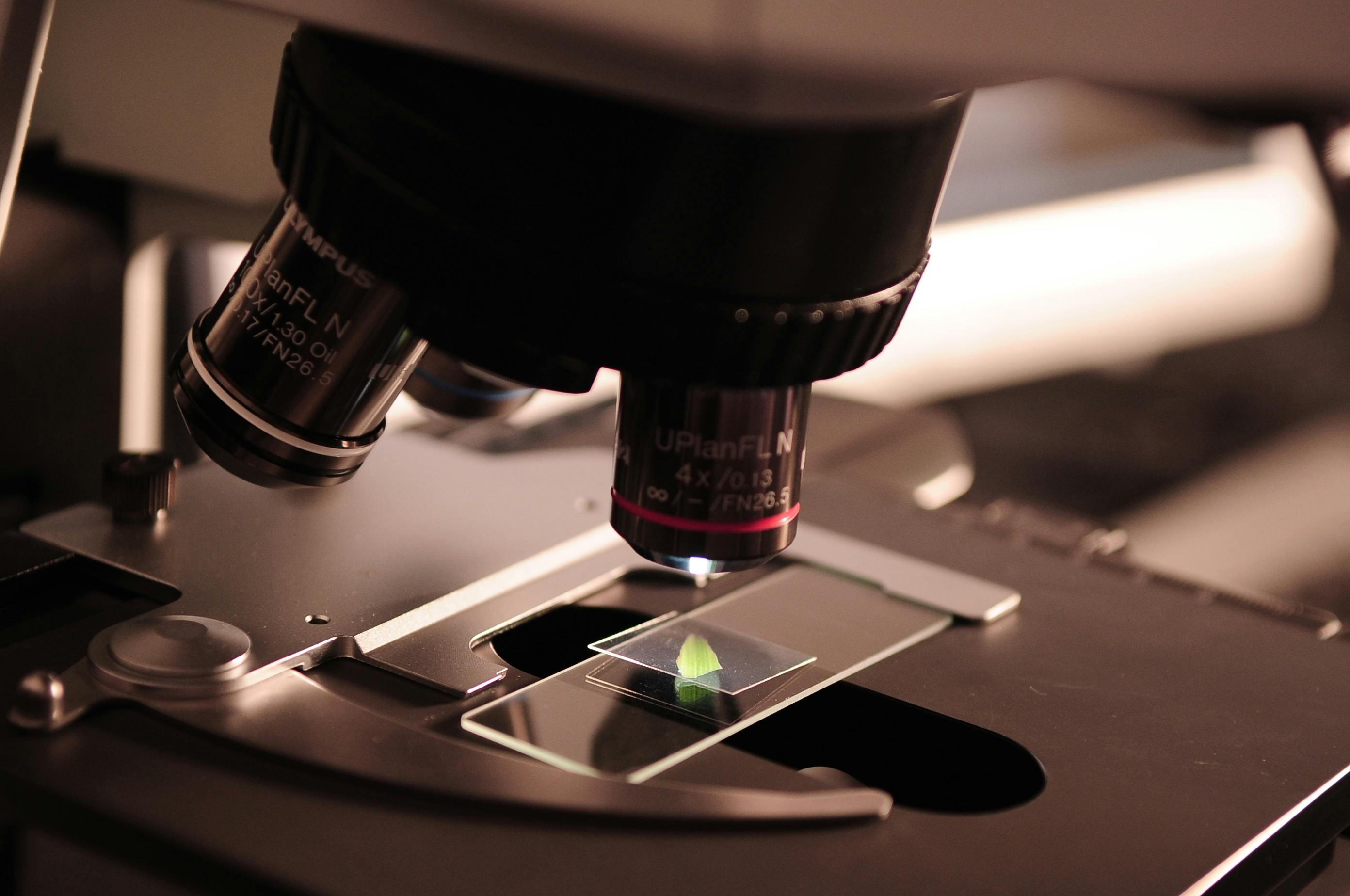 Investigación
